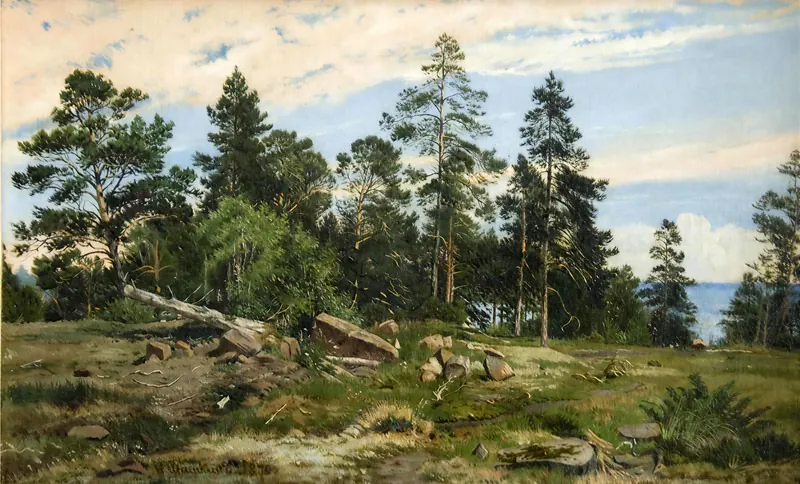 Лес на берегу моря