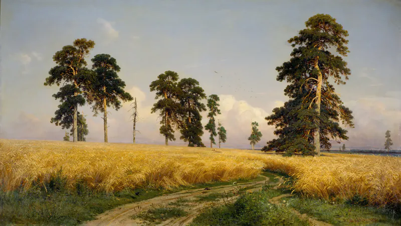Рожь