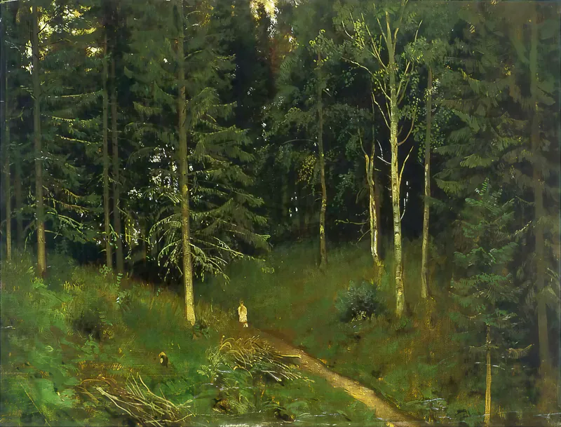 Тропинка в лесу (Еловый лес)