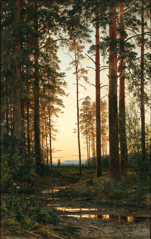 Сумерки