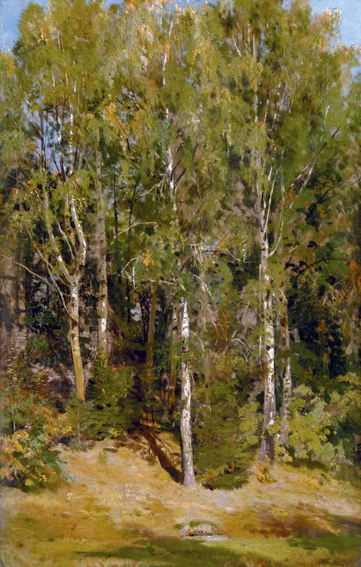 Березовая роща