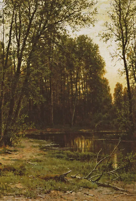 Речная заводь в лесу