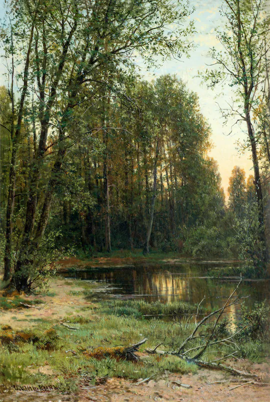 Речная заводь в лесу