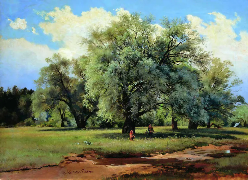Ивы, освещённые солнцем