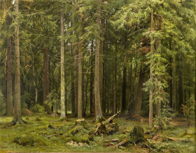 Лес в Мордвинове