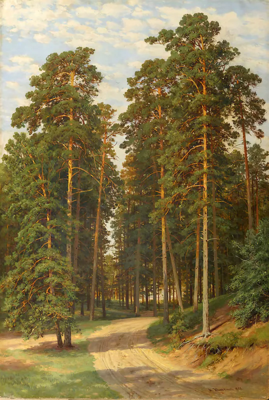 Солнце в лесу