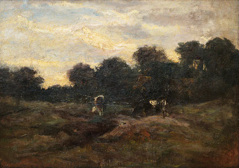 Коровы на лугу