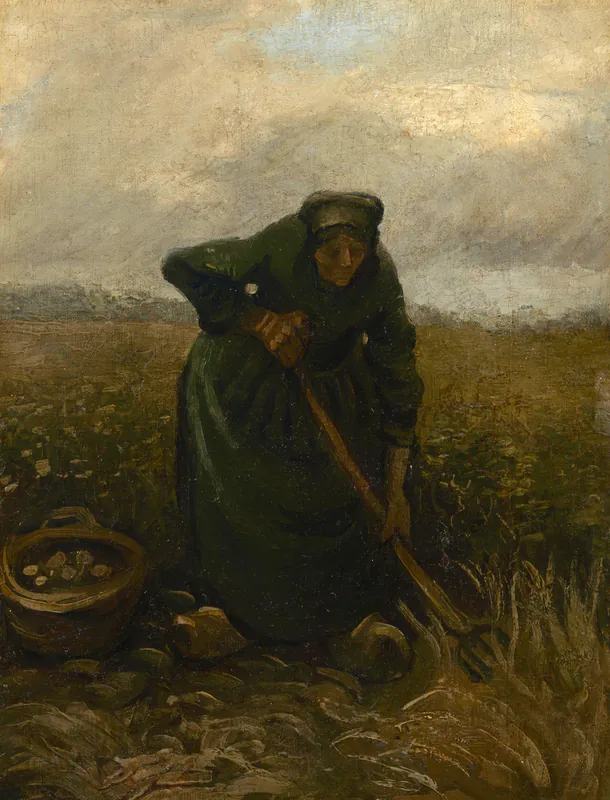 Женщина, собирающая картофель