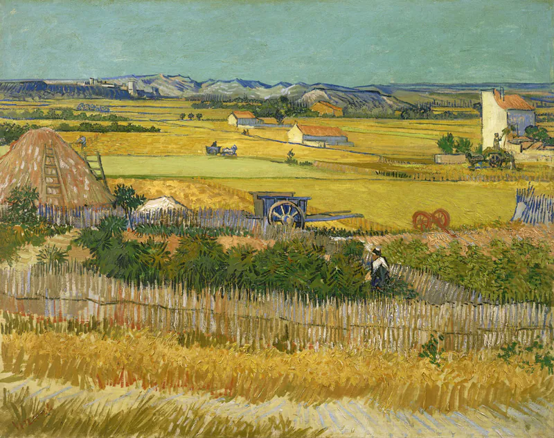 Сбор урожая